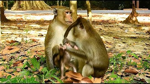 MG, THIS SOMETHING WRONG,WHY MUM ANNA DRAG BABY ANISSA FROM DADDY SO STRONG LIKE THIS? WEAKNESS BABY