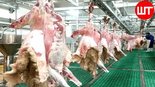 How Sheep Meat is Processed | Modern Sheep Farming Technology | Food Factory