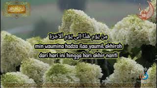 Hams channel Live Stream