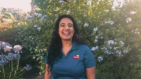 Why I Love Frito-Lay: Sanjog Anand