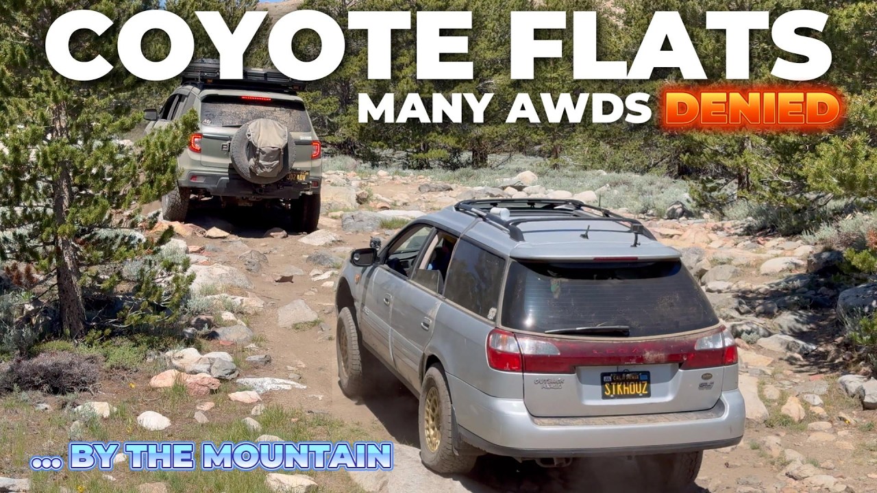 COYOTE FLATS:  Many AWDs DENIED ... by the Mountain