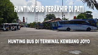 HUNTING BUS TERAKHIR DI PATI | Hunting Bus Di Terminal Kembangjoyo Pati