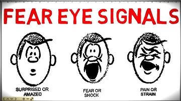 4 Fear Eye Signals In Body Language |Eye Signals | Animated