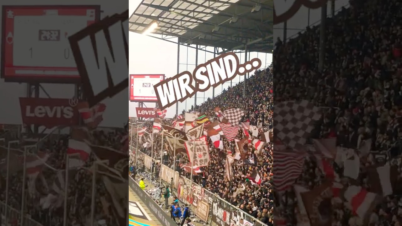 FC St. Pauli | Wir sind Ohh Sankt Pauli! | FC Augsburg | #bundesliga 24/25 #shorts #ultras #party