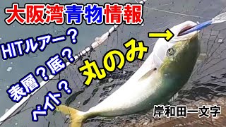 【大阪湾青物情報】沖堤防でショアジギング！このルアー投げ続ければ釣れる！岸和田沖一文字＆堺新波止で青物釣行。