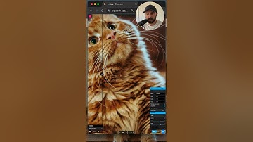 Zorg dat je afbeeldingen sneller laden en gebruik moderne formaten #coderen #webontwikkeling #pro...