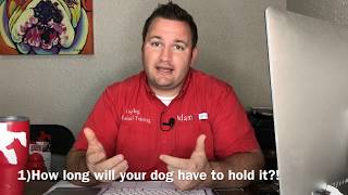 Top 5 tips for choosing where to board your dog!