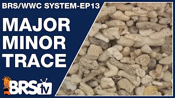 Ep13: Major, minor and trace elements for your reef tank - The BRS/WWC System