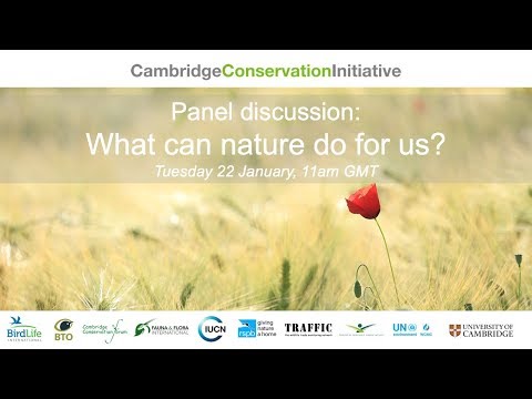 What can nature do for us?