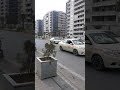 جورج سمعان جولة في اربيل كردستان العراق