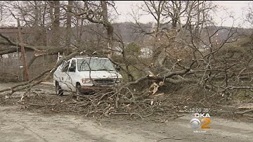 High Winds Cause Widespread Damage, Power Outages