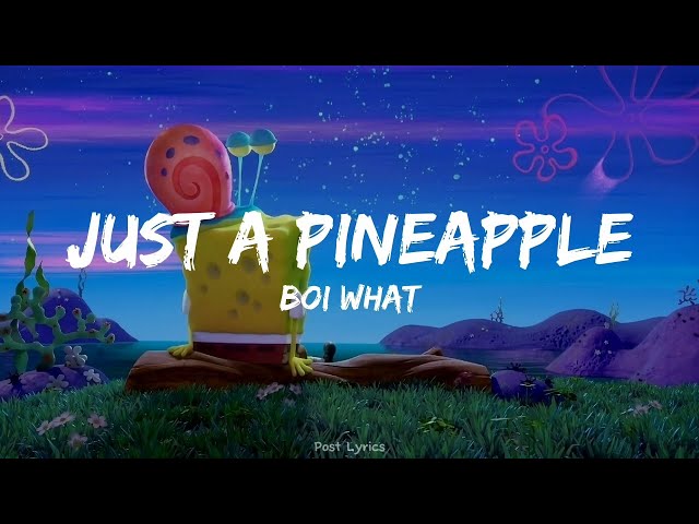 Boi What - Just A Pineapple [Lyrics] class=