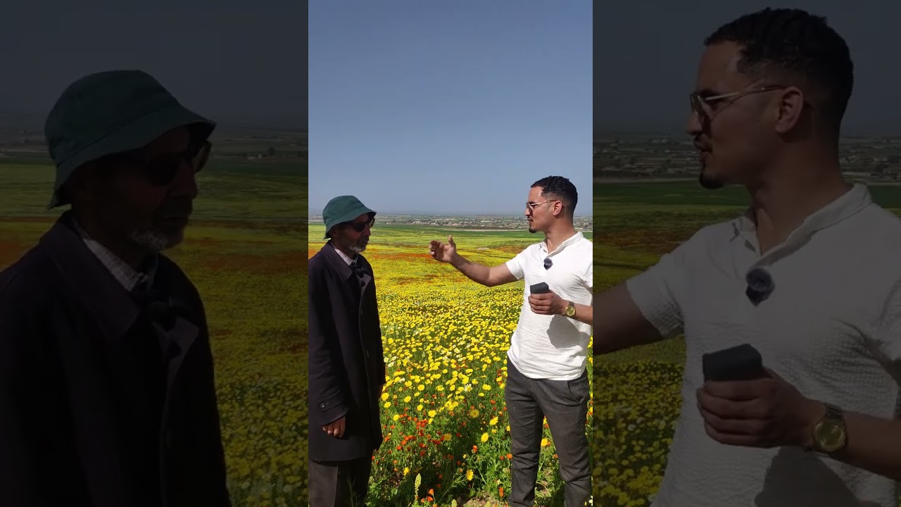 الطريق الوطنية بين خريبكة و وادي زم بالضبط بين بوجنينة و الكفاف