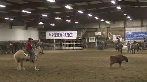 Pitzer Ranch 2013 Spring Sale Lot# 64 BARON SMARTY...