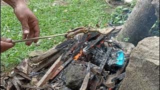 Carita Batur: Kadal Dibakar untuk Obat Gatel