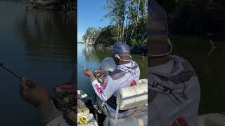 Fisherman Lands Sheepshead In Epic Catch
