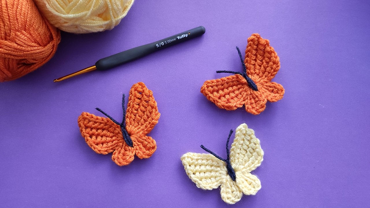 آموزش بافت پروانه قلاب بافی با تکنیک بافت تونسی - بافت پروانه با قلاب