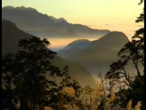 白月光     演奏錄製/SKY