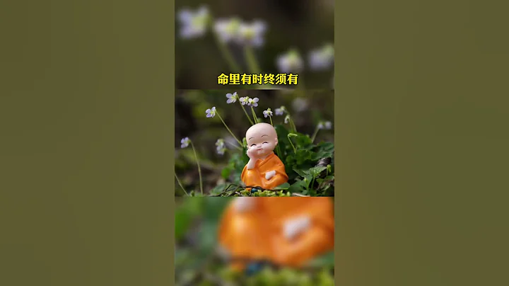 聚散不由人，得失天注定 - 天天要闻