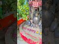সত্যম শিভাম সুন্দরাম 🙏🙏🙏 #surajroxfunnyvibeo #vikramcomedy #youtubeshorts #shorts #trending #viral