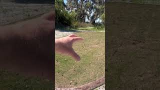 Who Says Zoysia Needs Less Water?