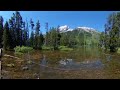 See the Fishies at this Grand Teton Swamp in 360 VR