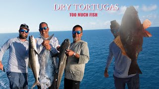 Commercial FISHING the DRY TORTUGAS! ( TOO MUCH FISH ) pb COBIA & red GROUPER.