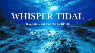 Whisper Tidal | Relaxing Underwater Ambience & Ocean Sounds for Sleep & Meditation