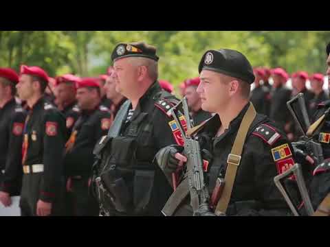 Video: Cum Să înveți Poziții Militare