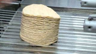 Corn Counter Stacker 4