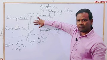 NCERT Geography Class 7 I Chapter 1 I Ecosystem I UPSC I State PSC I NET JRF I SSC I