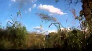 Aventura na Selva