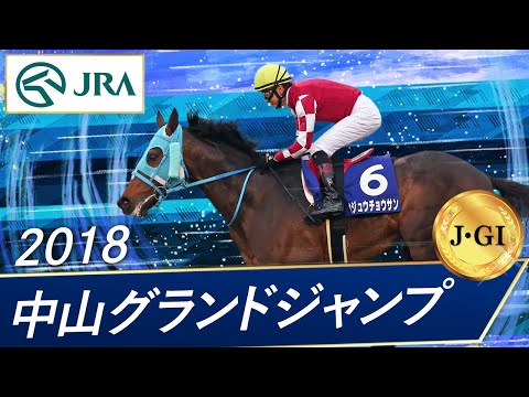 2018年 中山グランドジャンプ（J･GⅠ） | オジュウチョウサン | JRA公式