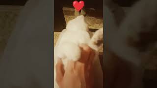 мои игривые глазки ❤️❤️❤️