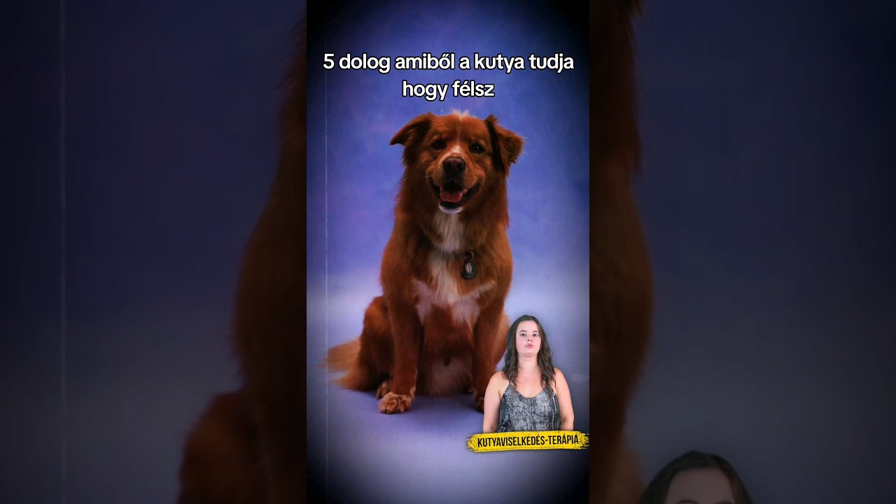 YouTube player