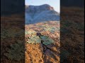 Thornscrub Plains & Blue Escarpment | Wide Open Earth