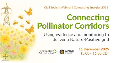Connecting Pollinator Corridors: Using evidence and monitoring to deliver a Nature-Positive grid
