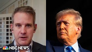 No one will admit to supporting Trump in 5-10 years, Kinzinger says