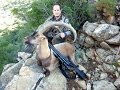 Bezoar Ibex Hunting in Turkey - Recep Ecer - Ahmet Özkayan