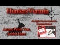 Air Rifle Hunting, Armex Pellet Test Rabbit Hunt May 2014