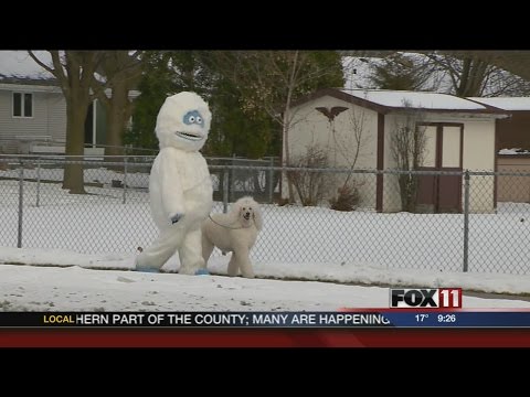 Meet Allouez's snowman, poodle: Bumble & Blizzard