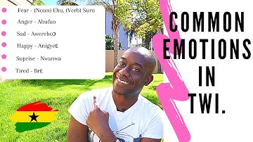 4 COMMON EMOTIONS in TWI| Learn TWI| Speak TWI