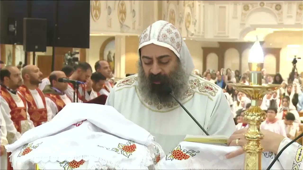 أبونا ماركوس الأنطوني   القسمة المقدسة 