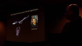 Cosyne 2020 - Workshop 1.8 - Nachum Ulanovsky - Neural codes for natural behaviors in flying bats