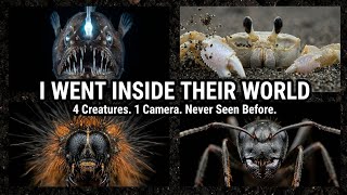 I Mounted Cameras on 4 Tiny Creatures and Followed Them Into Their World | Full Documentary