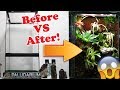 How To Build A Natural Terrarium | DIY TUTORIAL