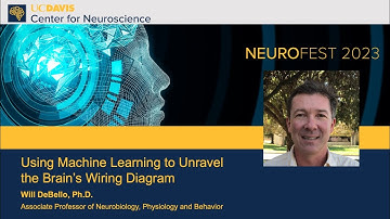 Will Debello, Ph.D. — Using Machine Learning to Unravel the Brain’s Wiring Diagram