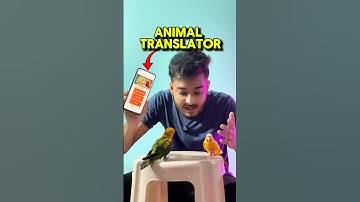 Animal translator app real or fake ? 🦜 #birds #parrot #minivlog #birdslovers #petslovers