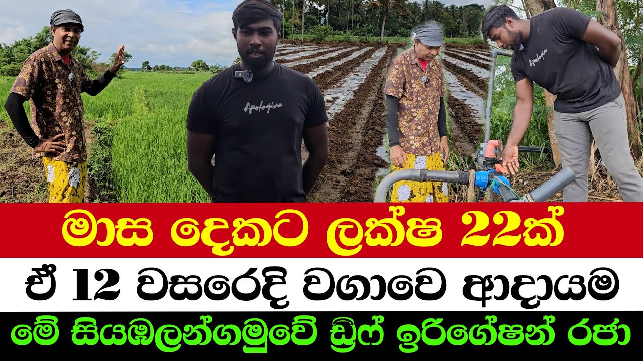 A Schoolboy Earned 2.2 Million in 2 Months | A Young Farmer Inventing Smart Tools