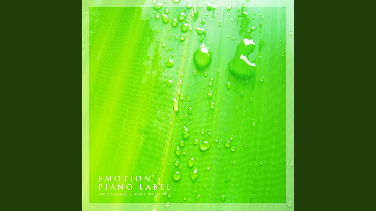 Watch Back In Memory (Nature Ver.) on YouTube Watch Back In Memory (Nature Ver.) on YouTube